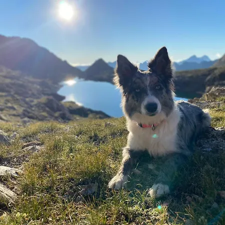 El Del Pirineo *